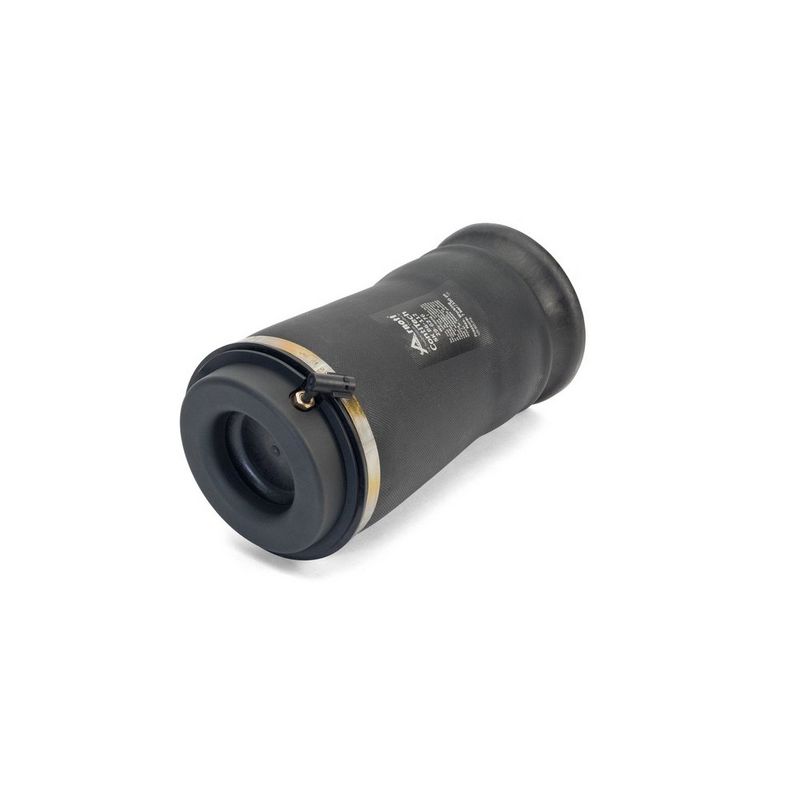 Arnott Air Spring Rear A-3010