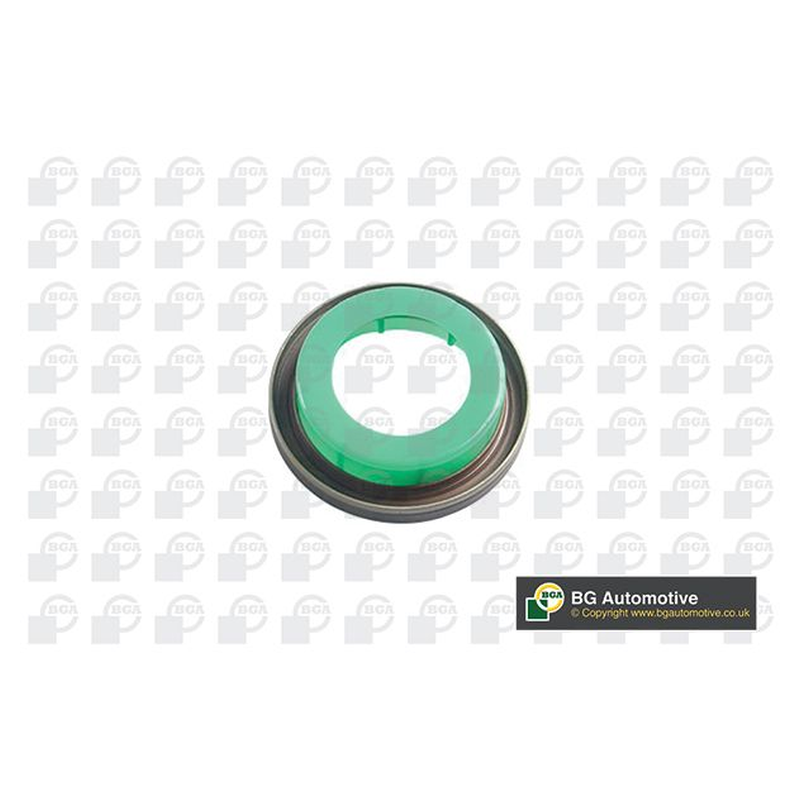 BGA Crankshaft Oil Seal OS9309