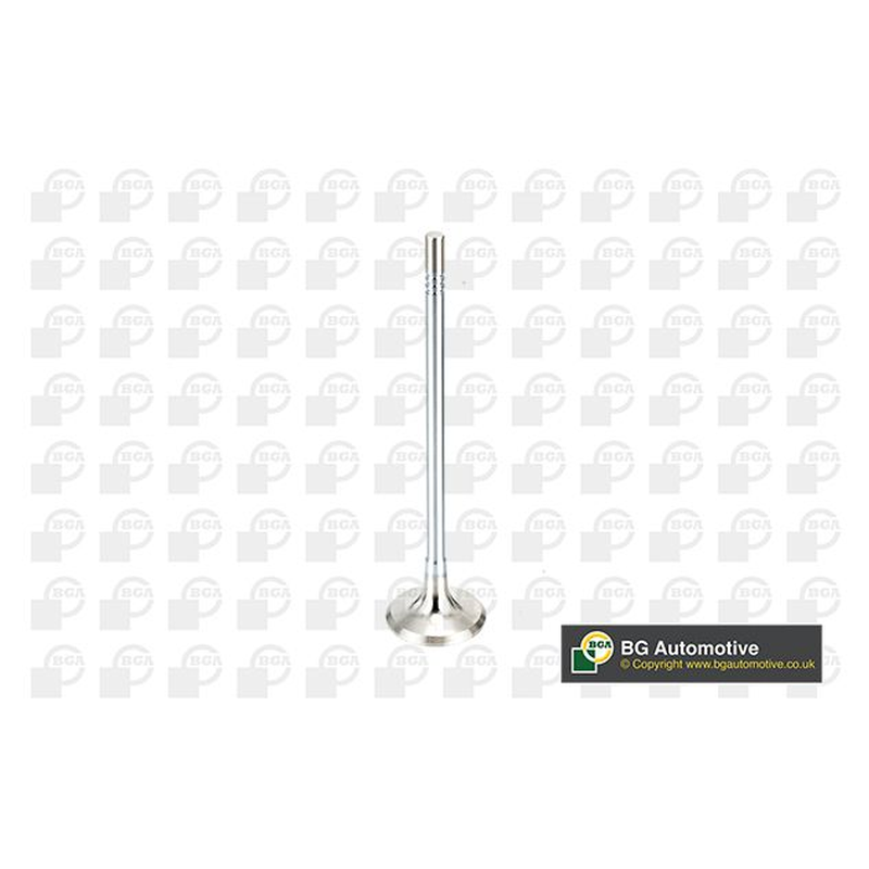 BGA Exhaust Valve V165051