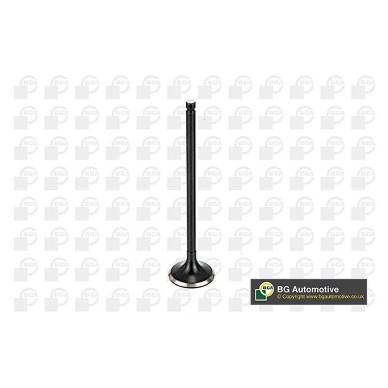 BGA Exhaust Valve V165411