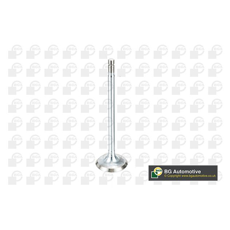 BGA Exhaust Valve V166161