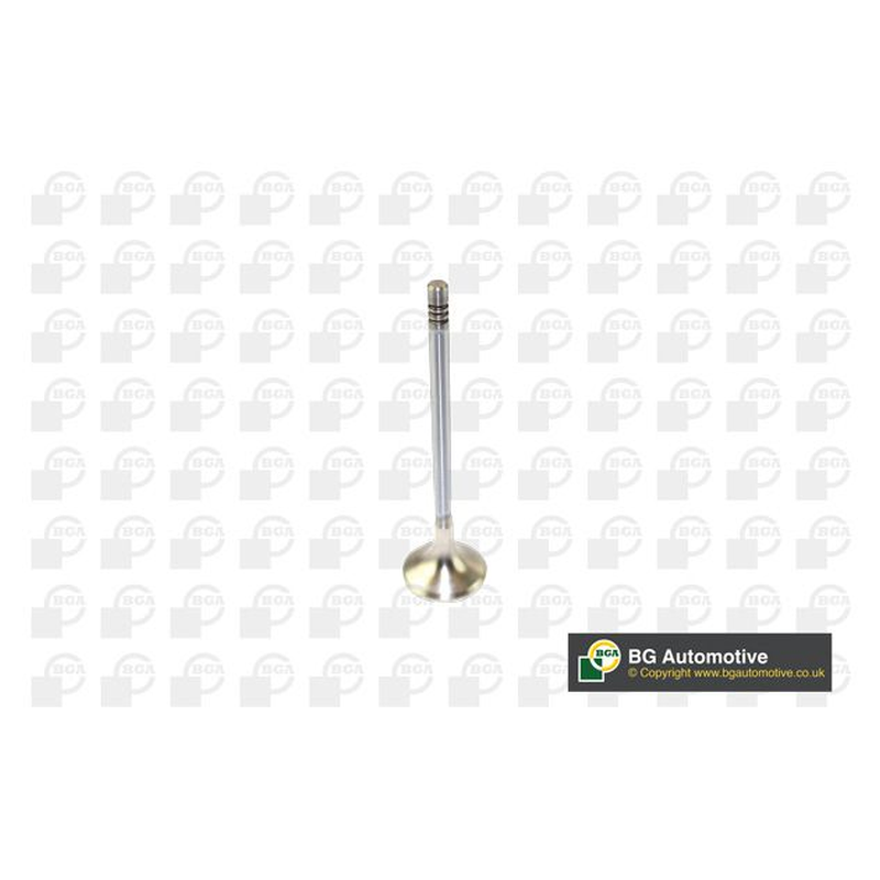BGA Exhaust Valve V166211