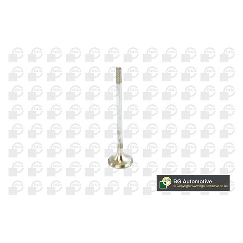 BGA Exhaust Valve V236820