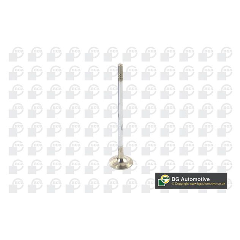 BGA Exhaust Valve V799602