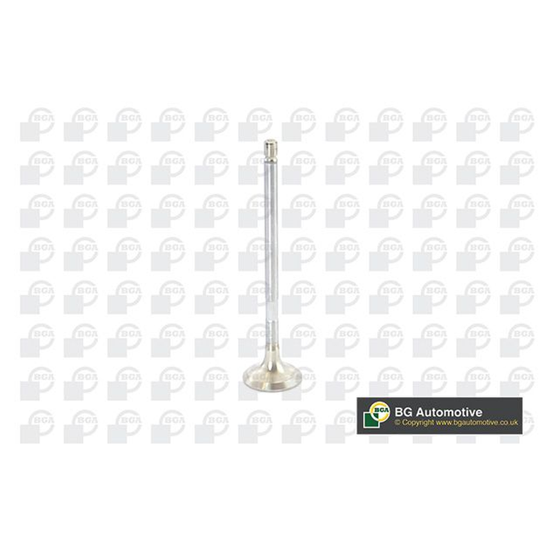 BGA Exhaust Valve V917011