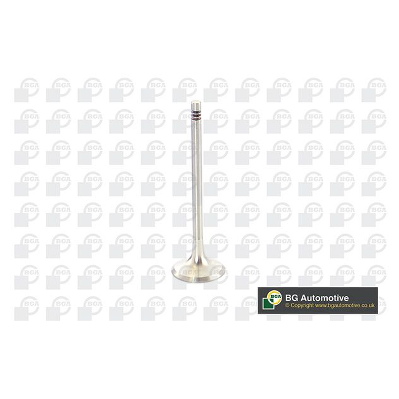BGA Exhaust Valve V960222