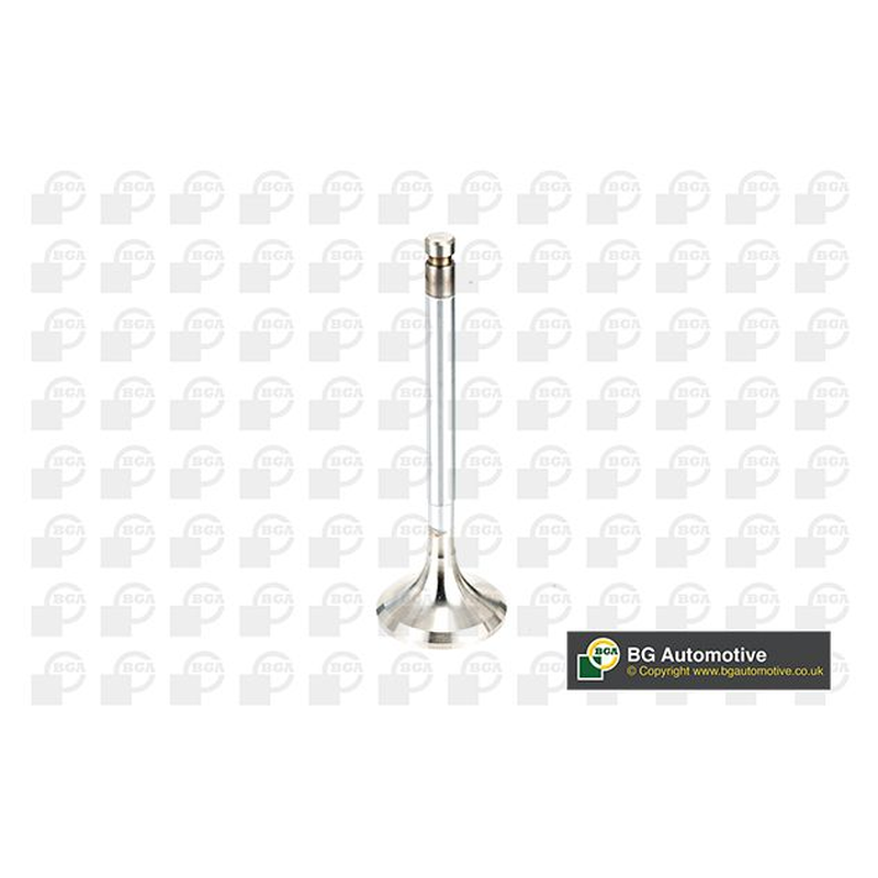 BGA Exhaust Valve V991716