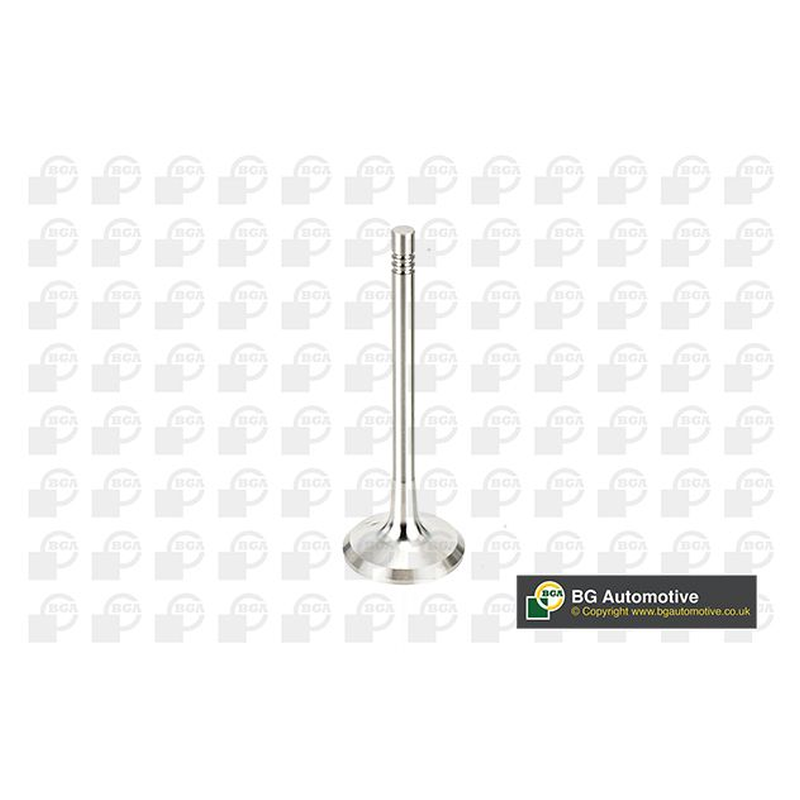 BGA Exhaust Valve V991760