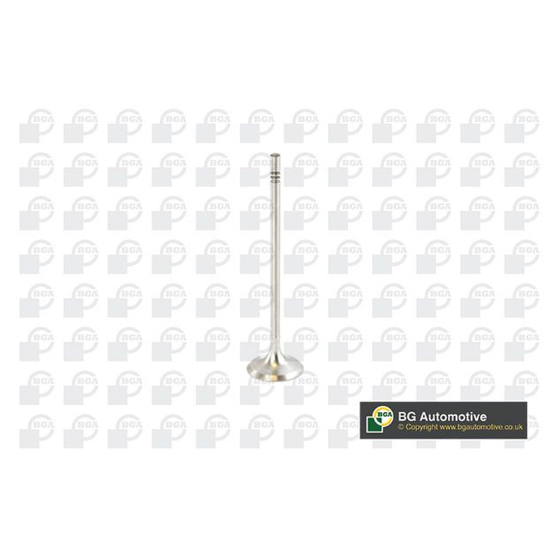 BGA Intake Valve Inlet V016839