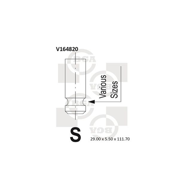 BGA Intake Valve Inlet V164820