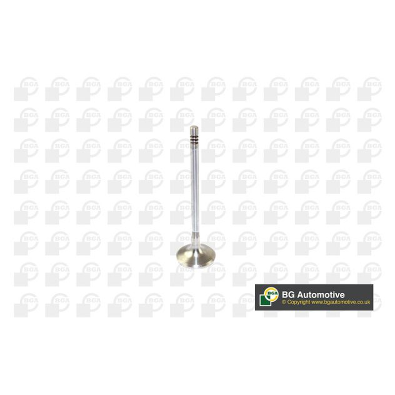 BGA Intake Valve Inlet V166200