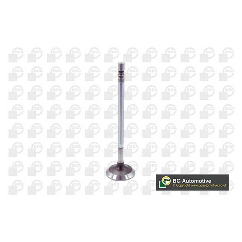 BGA Intake Valve Inlet V204954