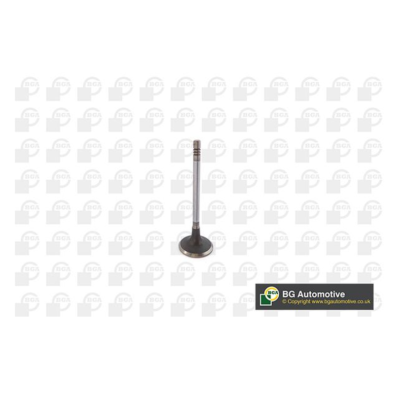 BGA Intake Valve Inlet V232015
