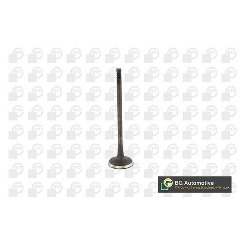 BGA Intake Valve Inlet V236819