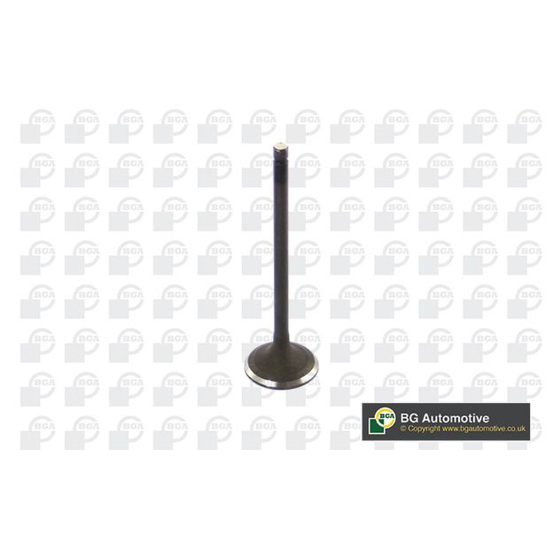 BGA Intake Valve Inlet V254711
