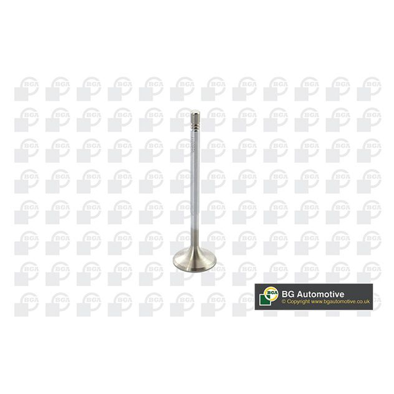 BGA Intake Valve Inlet V560011