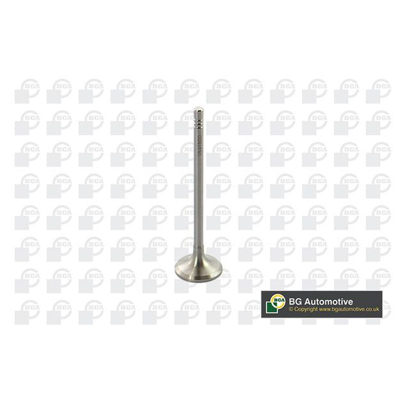 BGA Intake Valve Inlet V591500