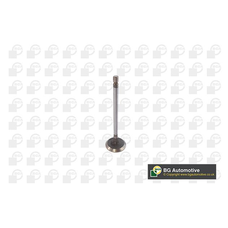 BGA Intake Valve Inlet V611981