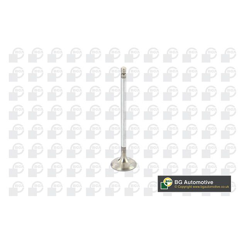 BGA Intake Valve Inlet V612090