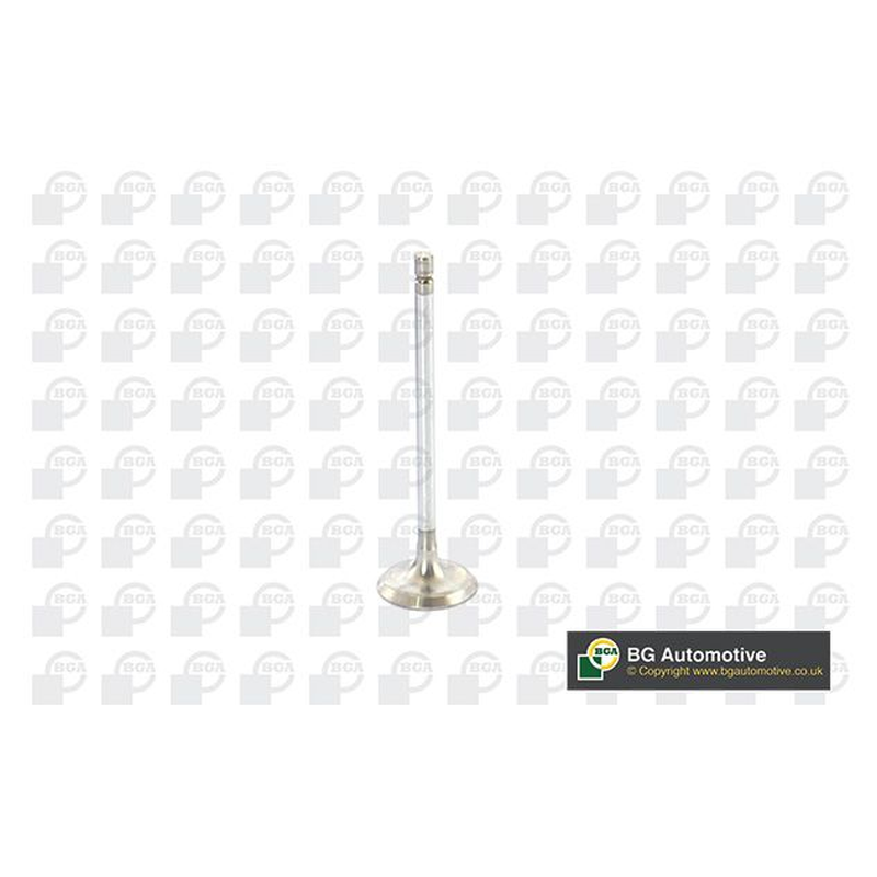 BGA Intake Valve Inlet V917010