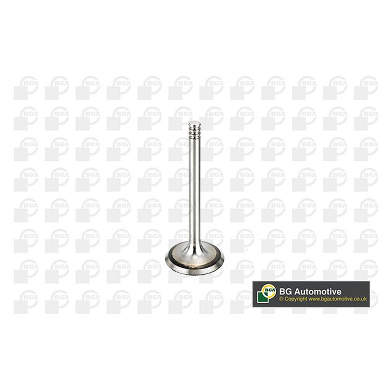 BGA Intake Valve Inlet V998902