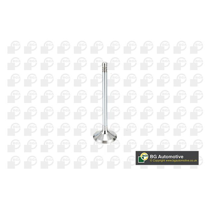 BGA Intake Valve Inlet V998912