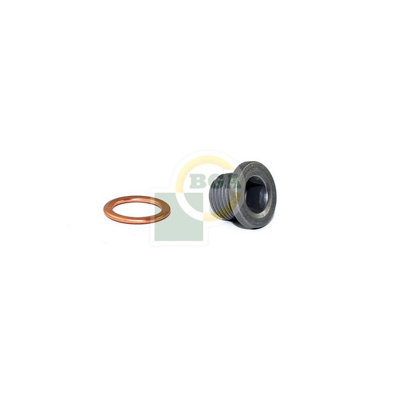 BGA Sump Plug PK1401