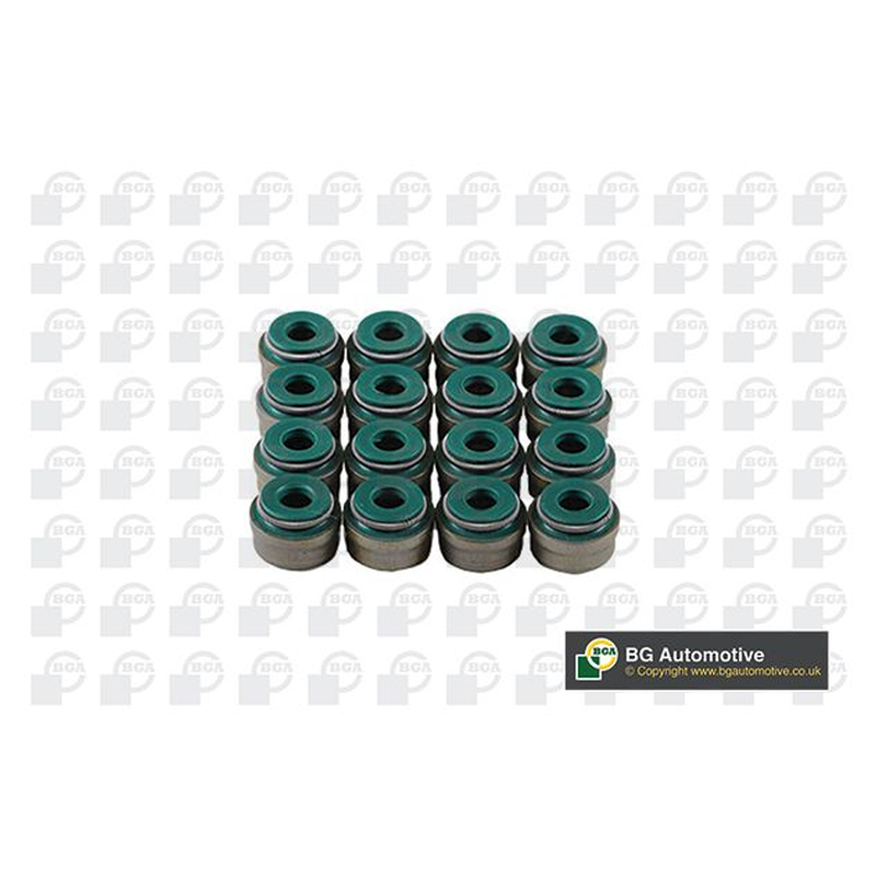 BGA Valve Steam Seal VK3375