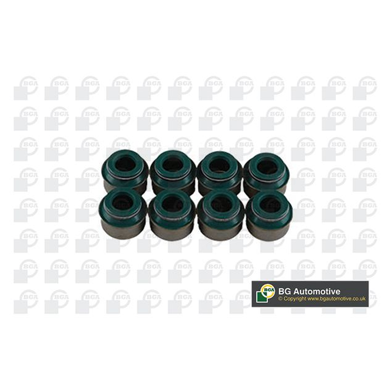 BGA Valve Steam Seal VK5373