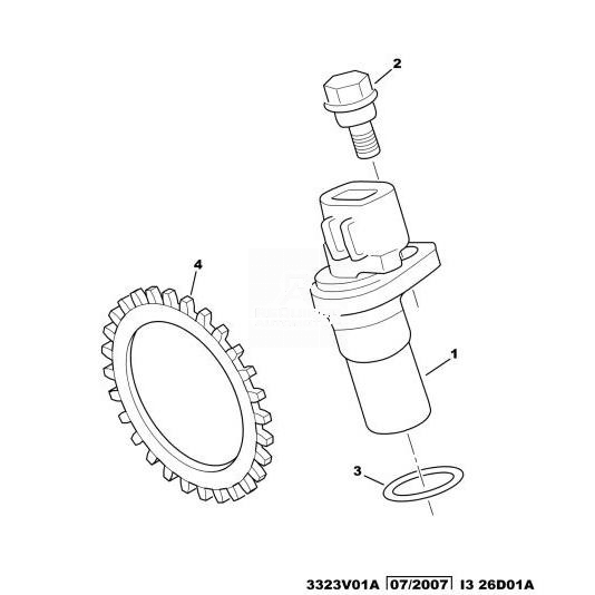 Text watermark