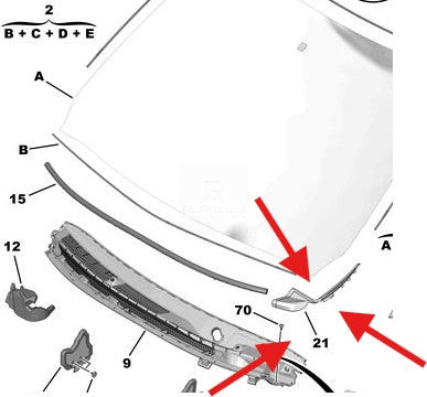 Text watermark