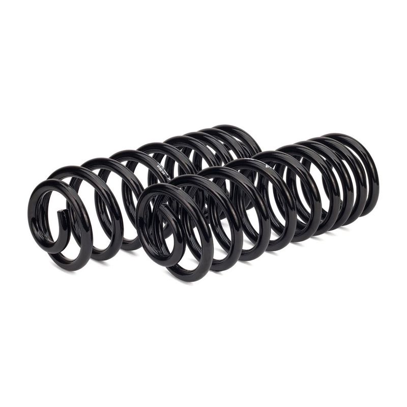 Arnott Coil Spring Conversation Kit Rear C-2987