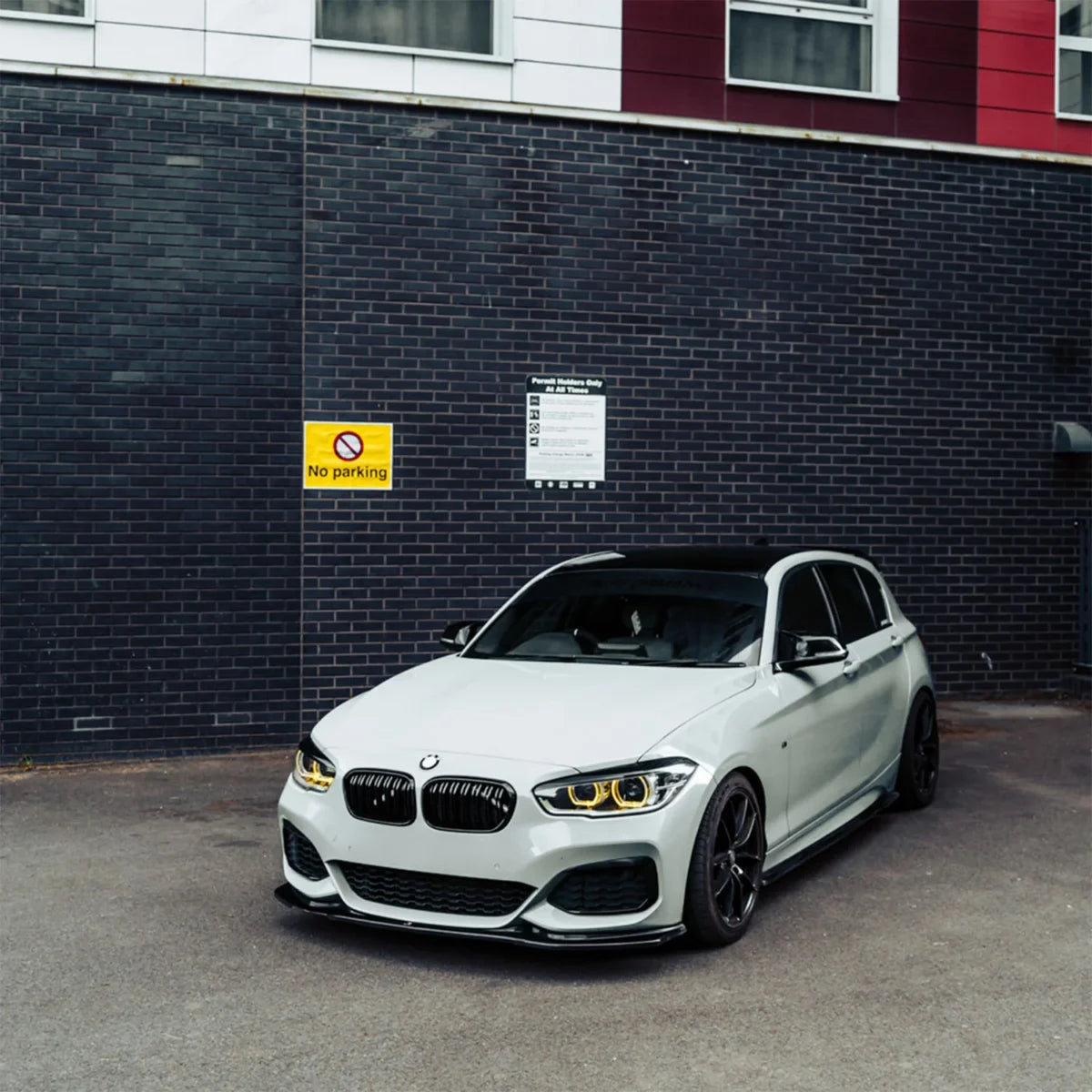 bmw kidney bars