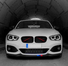 bmw kidney bars