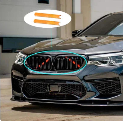 bmw kidney bars