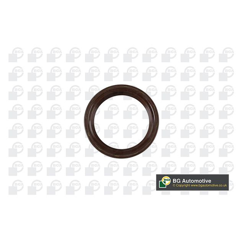 BGA Crankshaft Oil Seal OS7309
