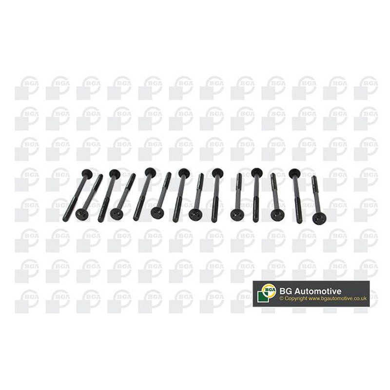 BGA Cylinder Head Bolt Set BK2305