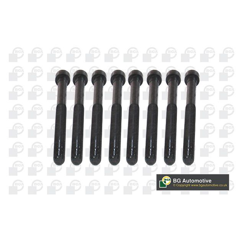 BGA Cylinder Head Bolt Set BK5916