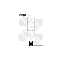 BGA Exhaust Valve V003427