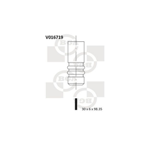 BGA Exhaust Valve V016719