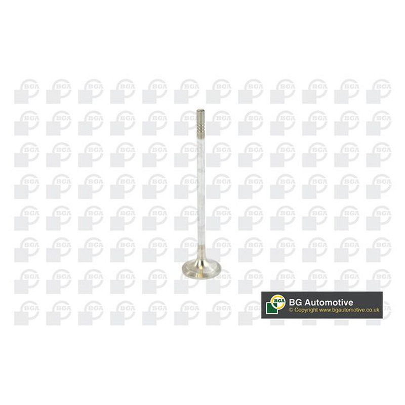 BGA Exhaust Valve V016840