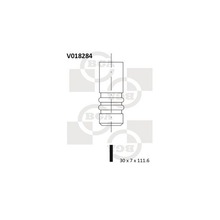 BGA Exhaust Valve V018284
