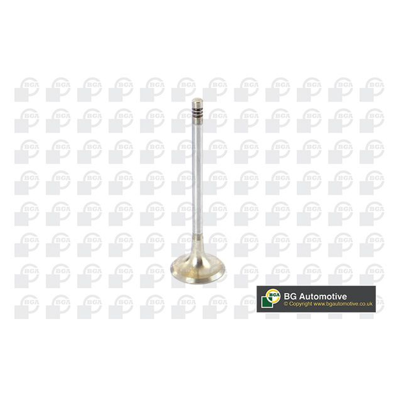 BGA Exhaust Valve V090100