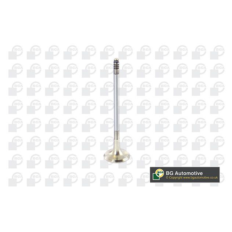 BGA Exhaust Valve V090101