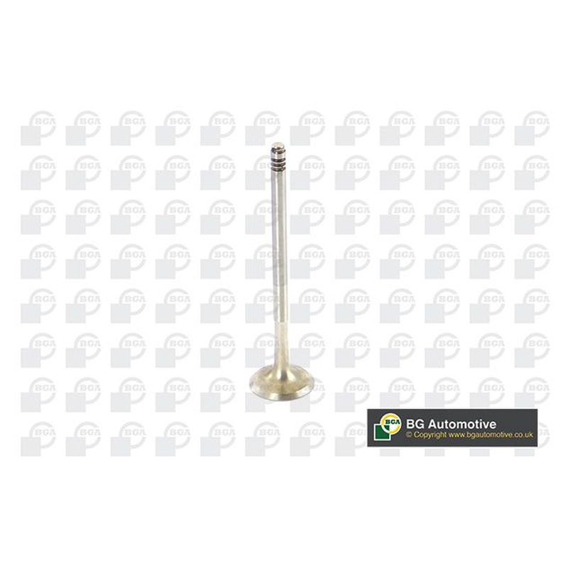 BGA Exhaust Valve V090103