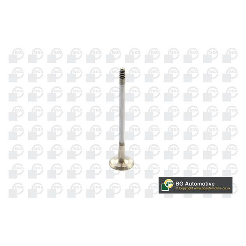 BGA Exhaust Valve V090107