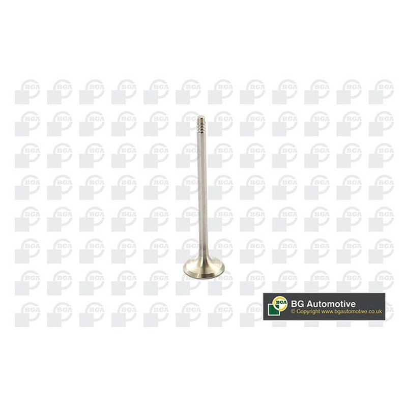 BGA Exhaust Valve V095110
