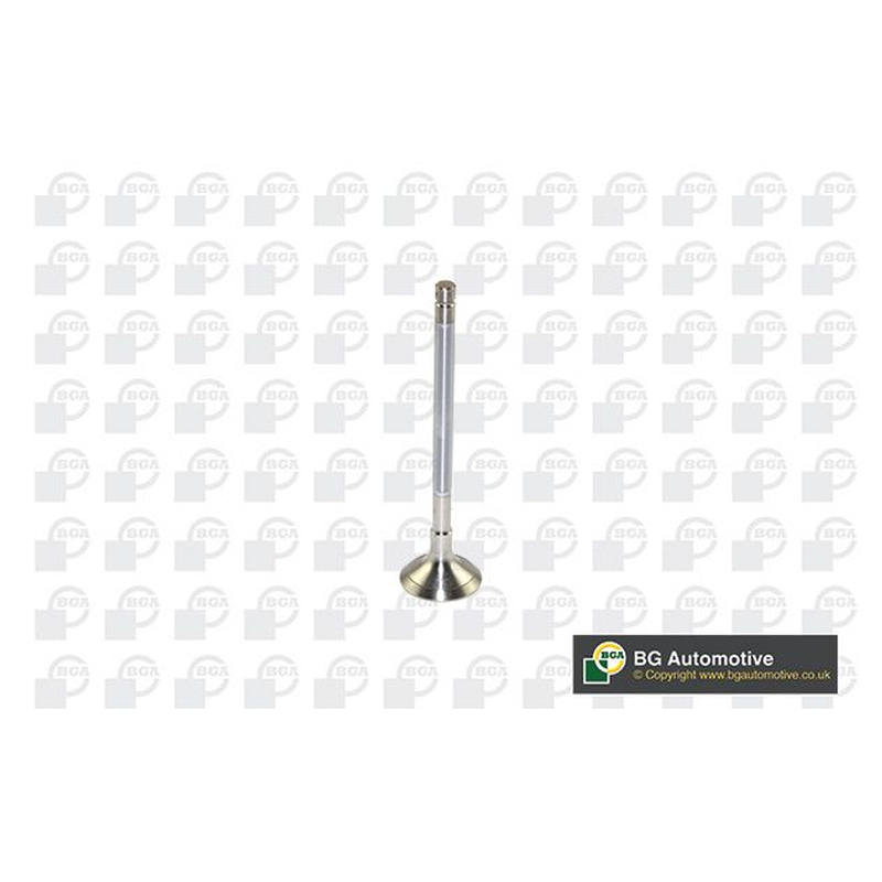 BGA Exhaust Valve V122042