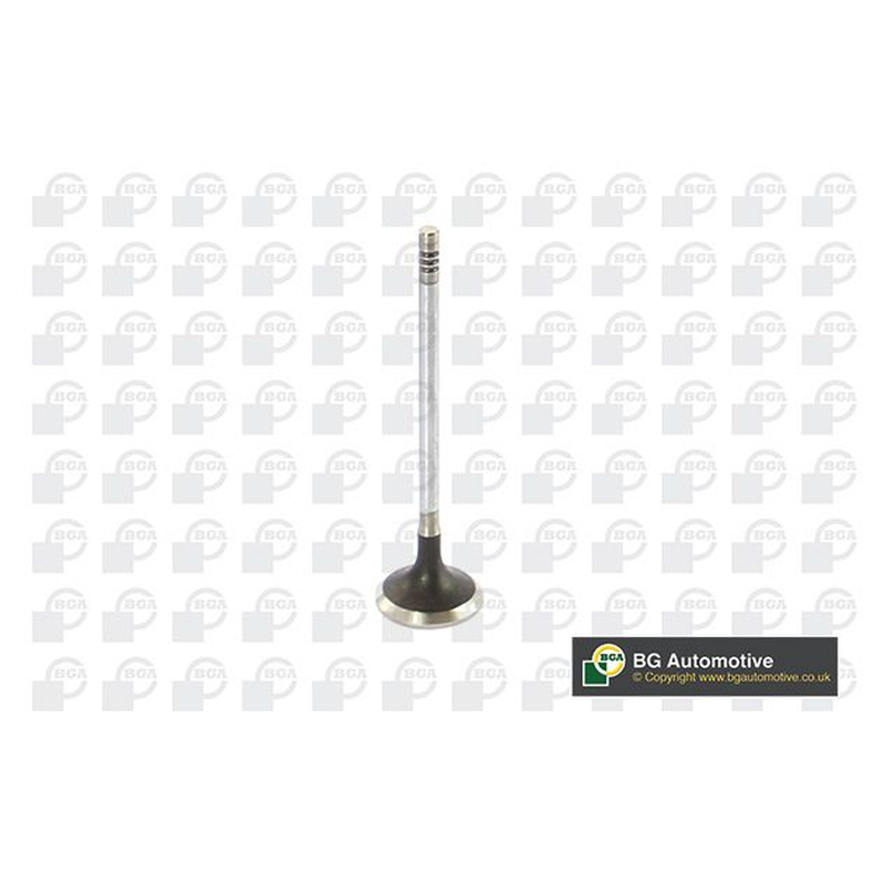BGA Exhaust Valve V123822