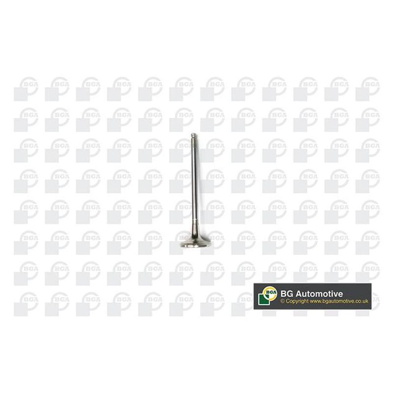 BGA Exhaust Valve V141081